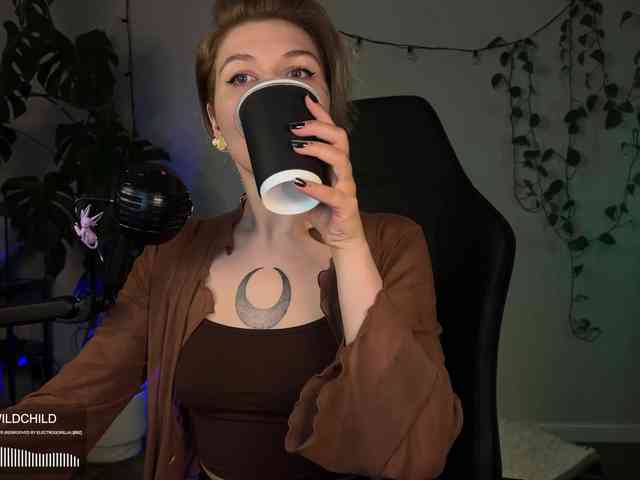 SOVA_tut webcam