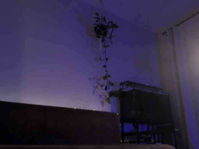 SOVA_tut webcam