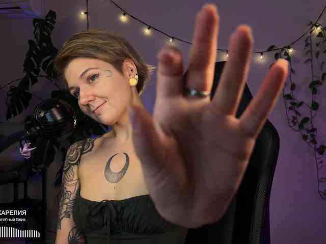 SOVA_tut webcam