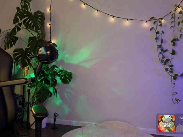 SOVA_tut webcam