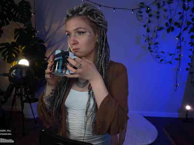 SOVA_tut webcam