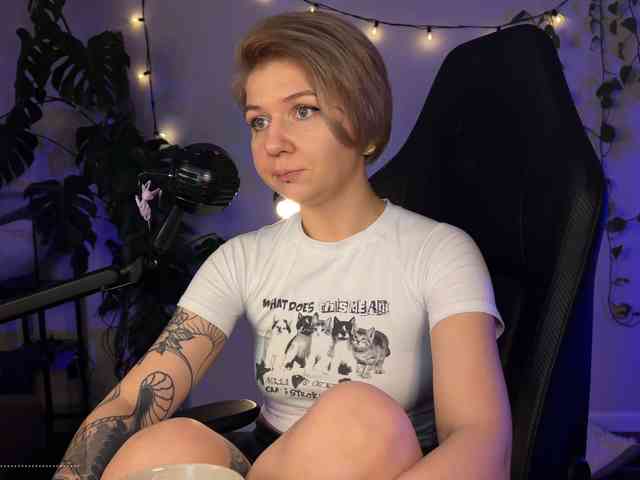 SOVA_tut webcam