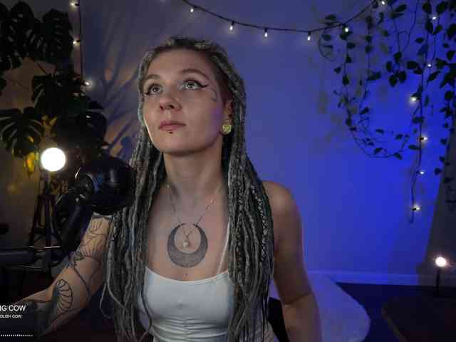 SOVA_tut webcam
