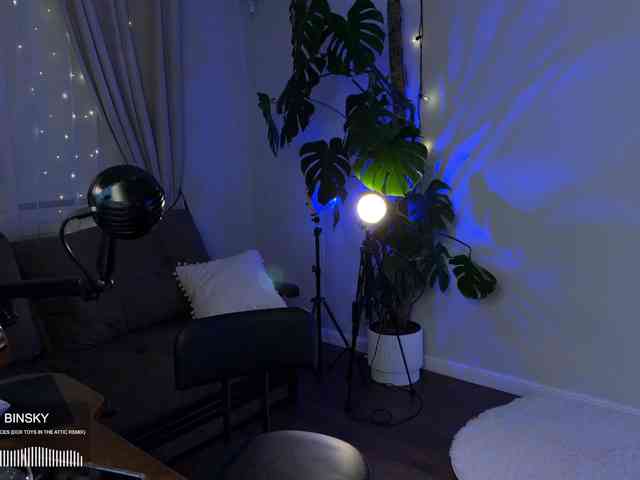 SOVA_tut webcam