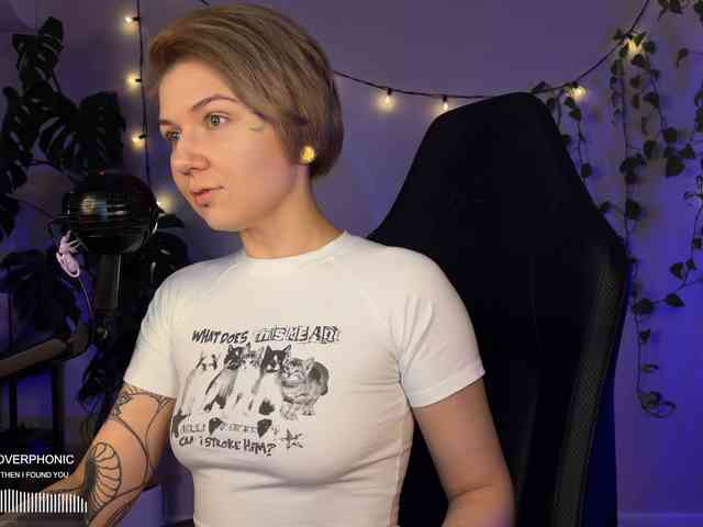 SOVA_tut webcam