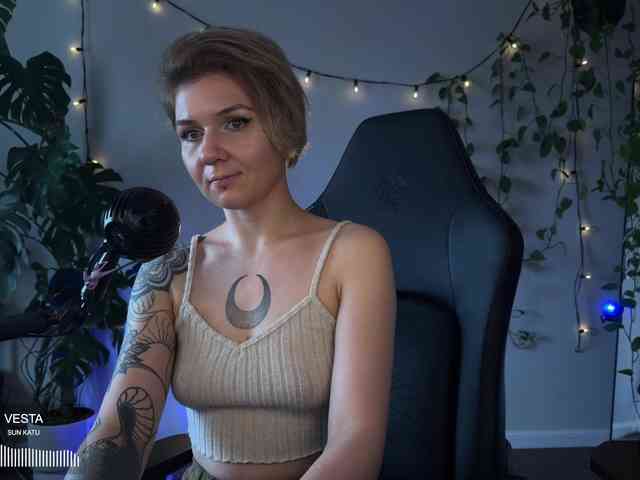 SOVA_tut webcam