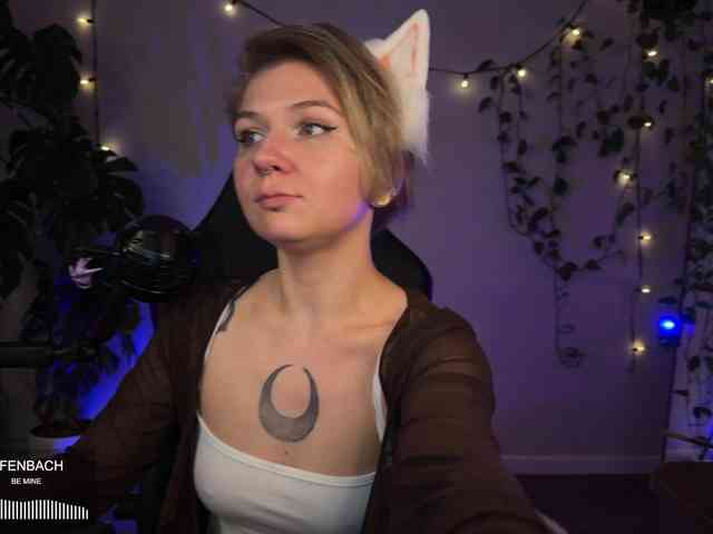 SOVA_tut webcam