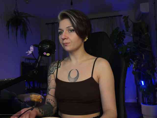 SOVA_tut webcam