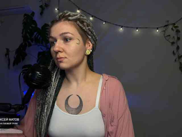 SOVA_tut webcam