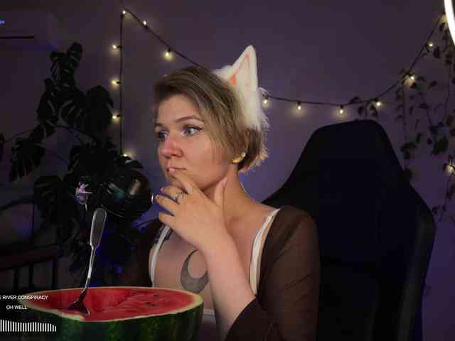 SOVA_tut webcam