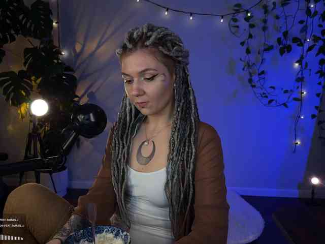 SOVA_tut webcam