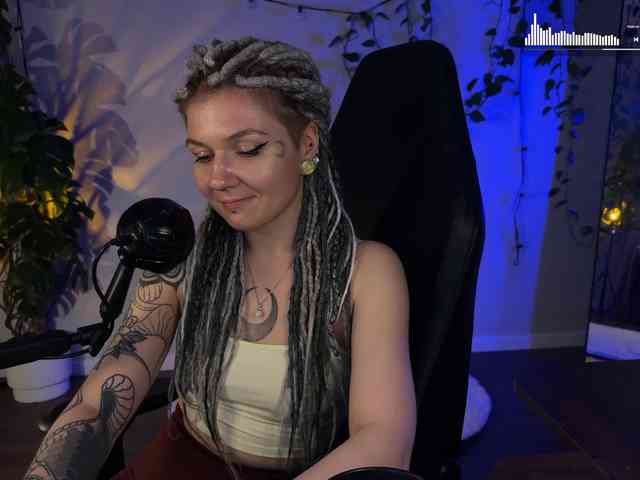 SOVA_tut webcam
