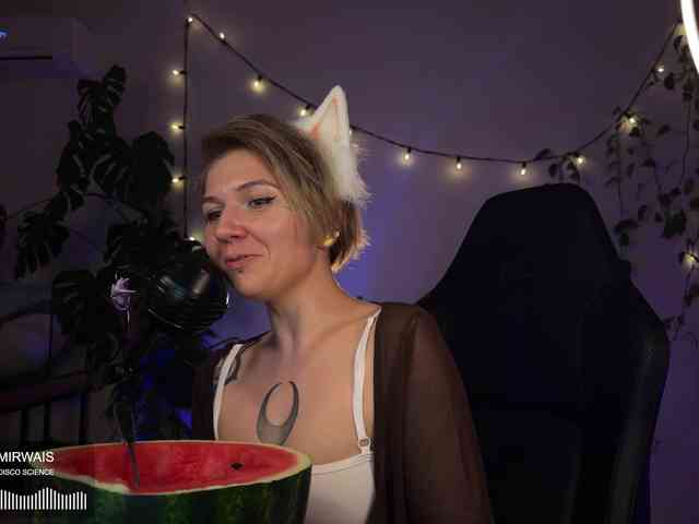 SOVA_tut webcam