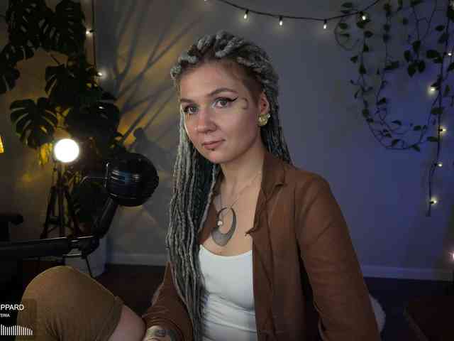 SOVA_tut webcam