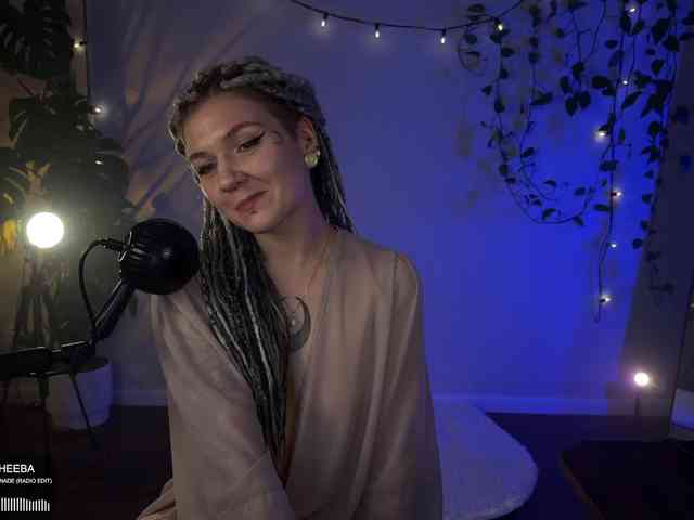 SOVA_tut webcam