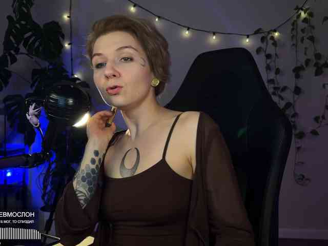 SOVA_tut webcam