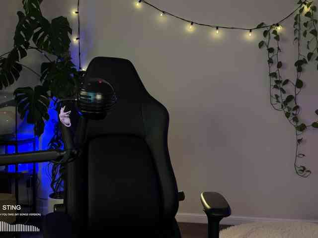SOVA_tut webcam