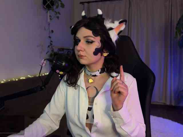 SOVA_tut webcam