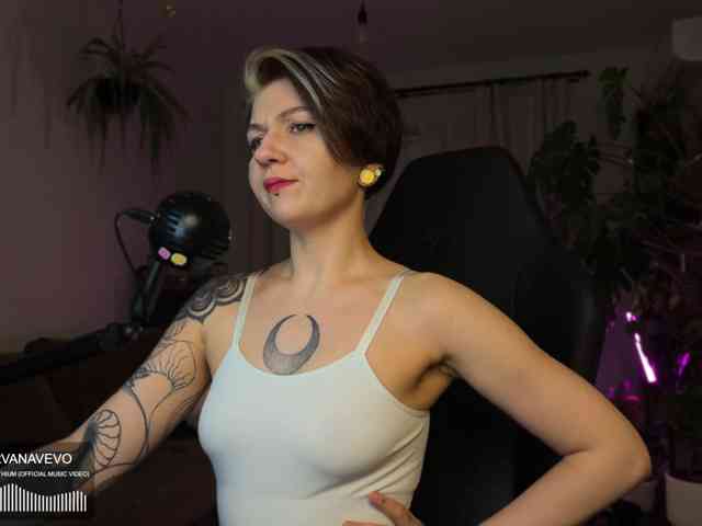SOVA_tut webcam