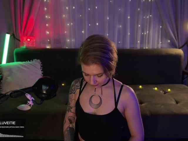SOVA_tut webcam