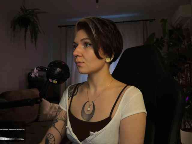 SOVA_tut webcam