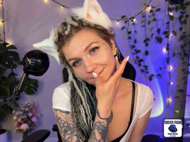 SOVA_tut webcam