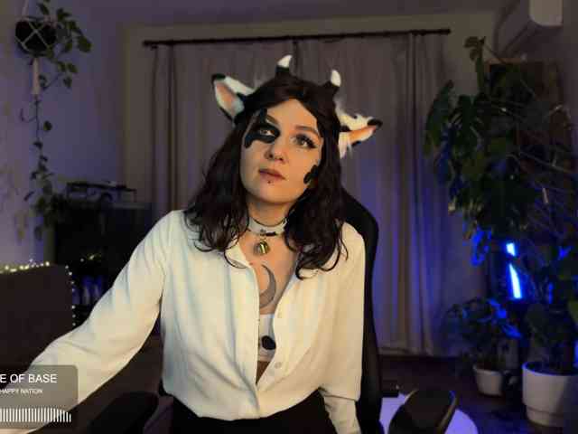 SOVA_tut webcam