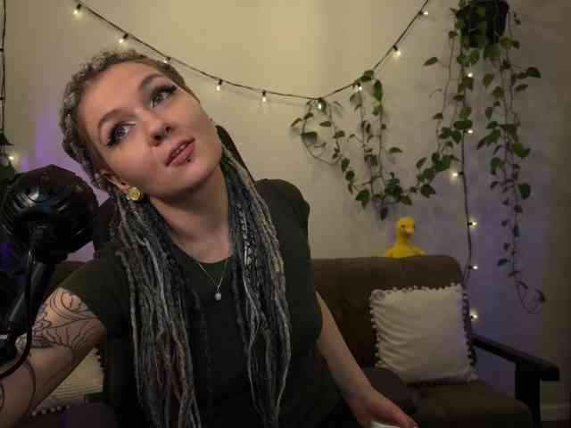 SOVA_tut webcam