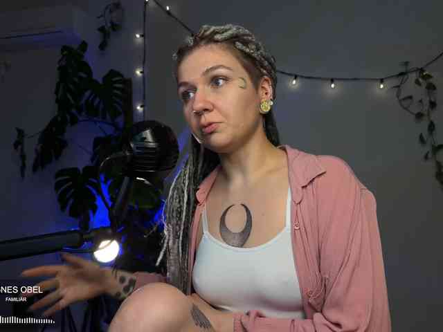 SOVA_tut webcam
