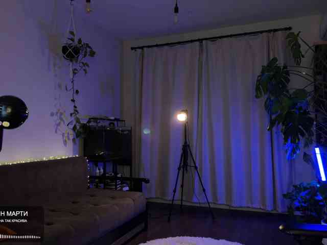 SOVA_tut webcam