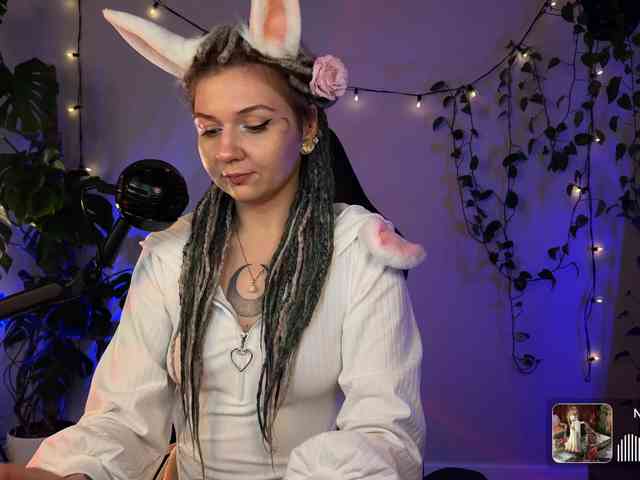SOVA_tut webcam