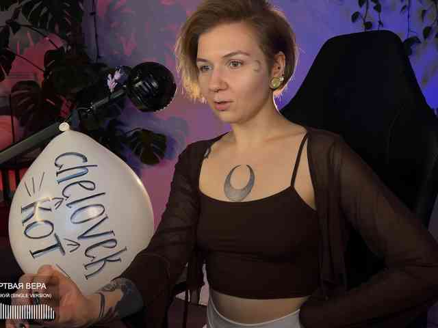 SOVA_tut webcam