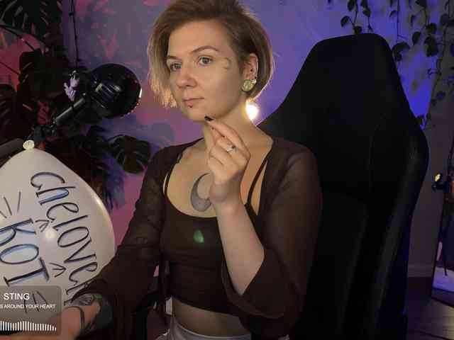 SOVA_tut webcam