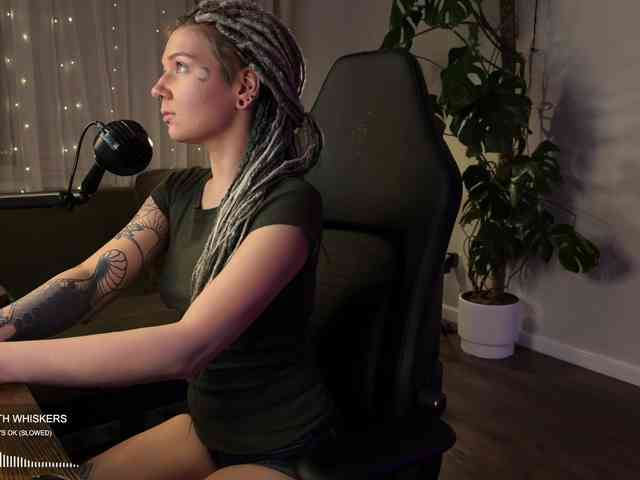 SOVA_tut webcam