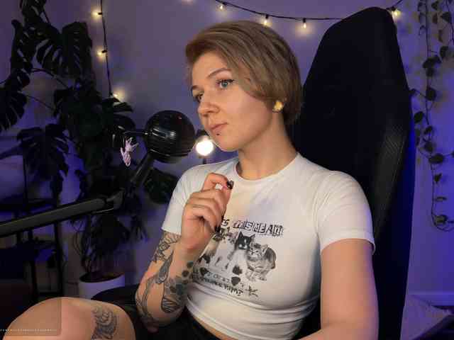 SOVA_tut webcam