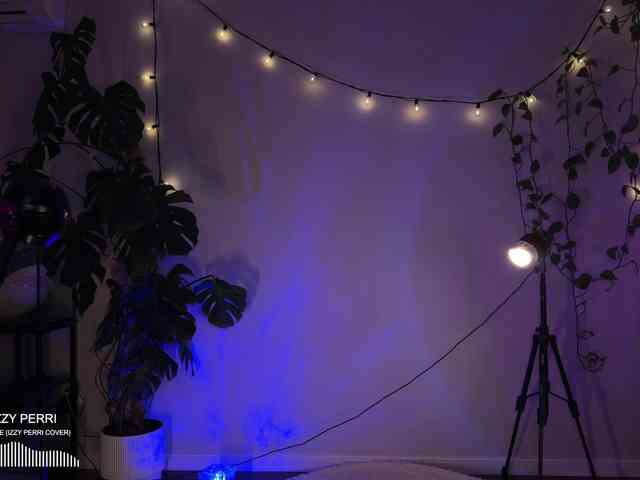 SOVA_tut webcam