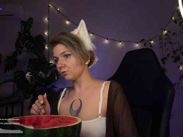 SOVA_tut webcam