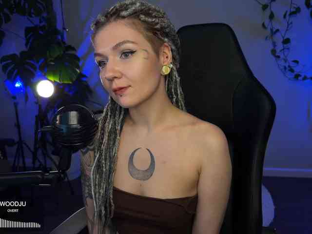 SOVA_tut webcam