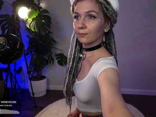 SOVA_tut webcam