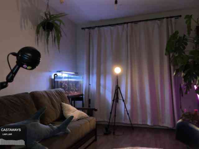 SOVA_tut webcam