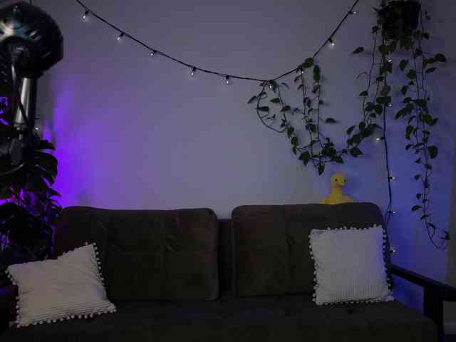 SOVA_tut webcam