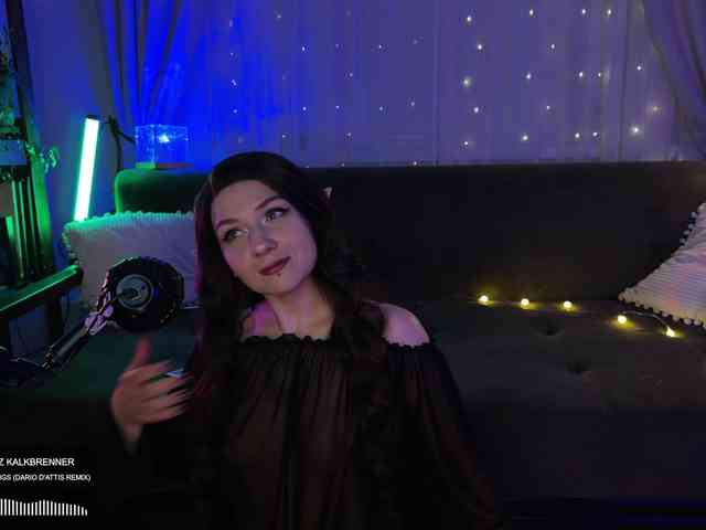 SOVA_tut webcam
