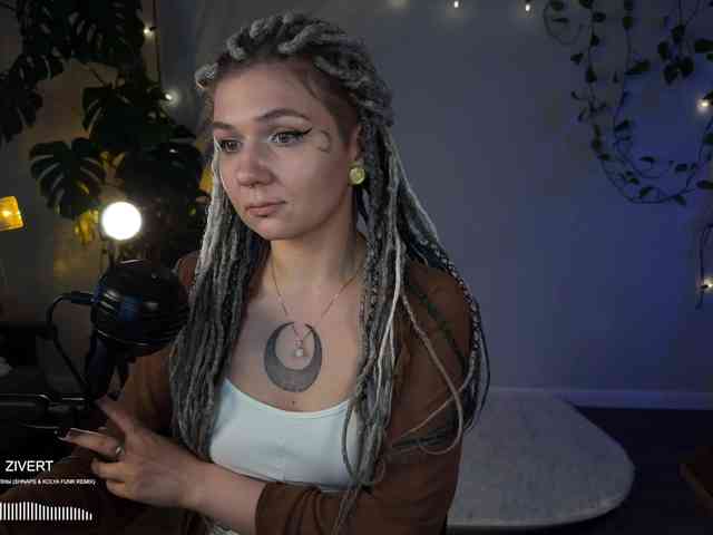 SOVA_tut webcam