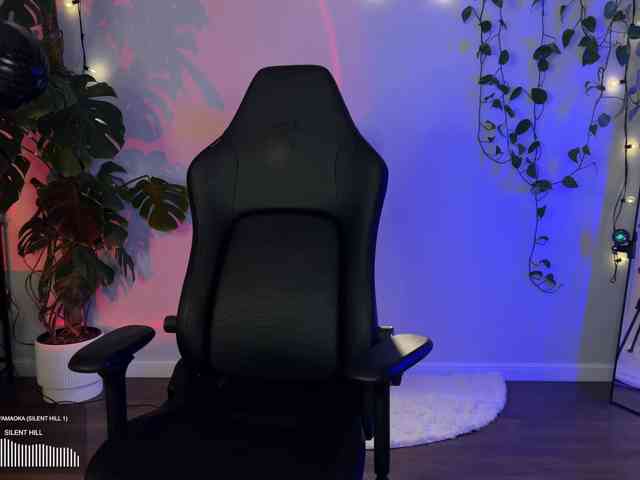 SOVA_tut webcam