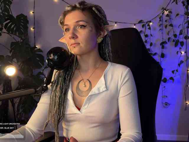 SOVA_tut webcam