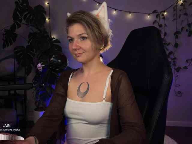 SOVA_tut webcam