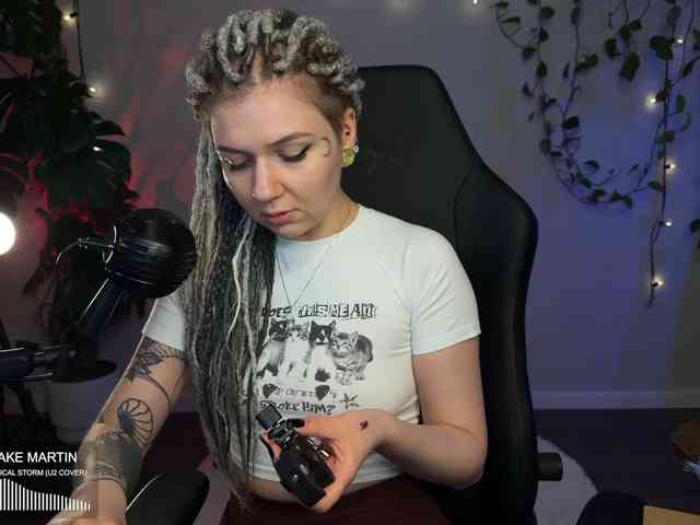SOVA_tut webcam