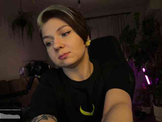 SOVA_tut webcam