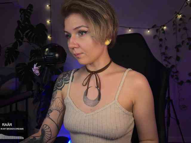 SOVA_tut webcam