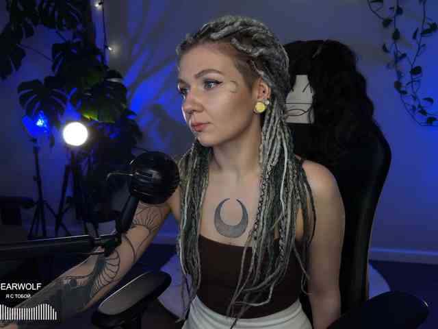 SOVA_tut webcam